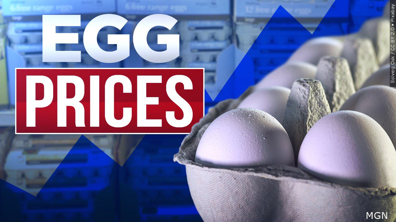 Egg prices have soared 60, why?