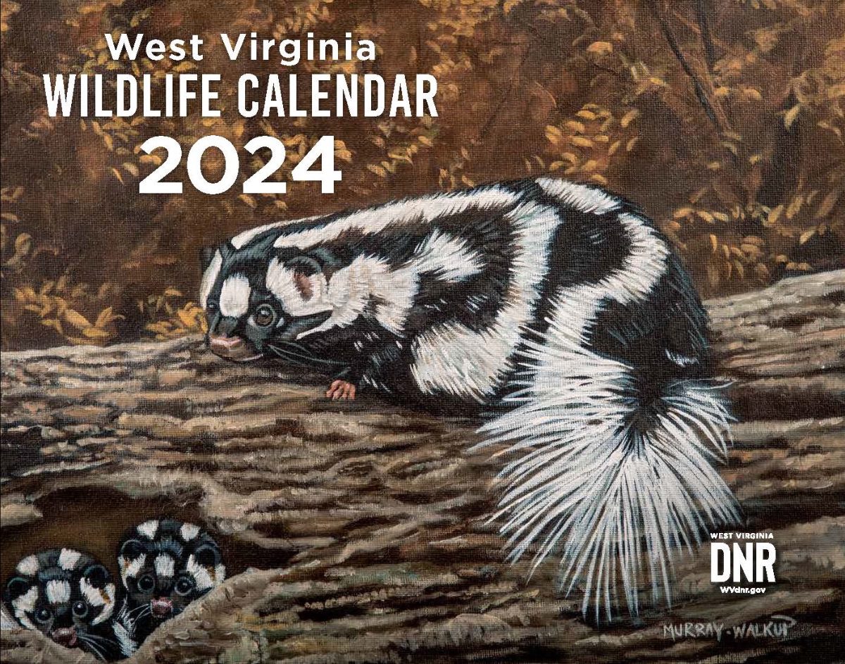 2024 West Virginia Wildlife Calendar now available to purchase