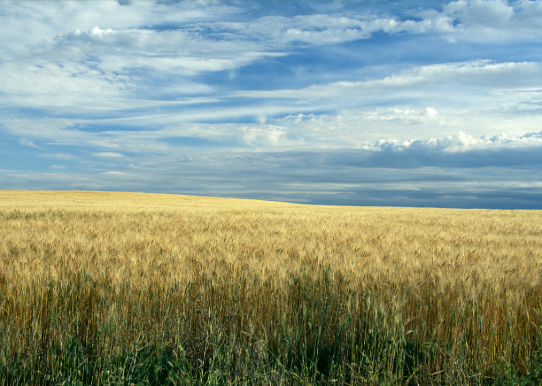 Counties with the most farmland in West Virginia