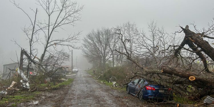 Aftermath of Tuesday's EF2 tornado in Lavista area of Fayette County.