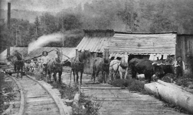 Wooden rail tram lines of Ritter Lumber Company sawmill in Beaver. Mules, horses and oxen initially provided motive power for trams. Raleigh County Historical Society.