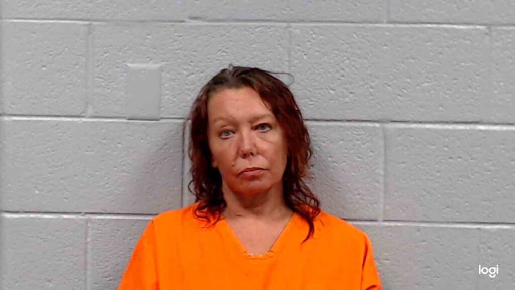 Diana Fay Stevens charged with stealing generator from Lowe's