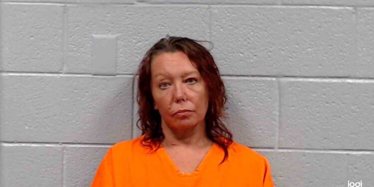 Diana Fay Stevens charged with stealing generator from Lowe's