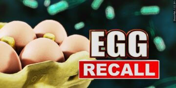 Eggs recalled after dozens sickened with Salmonella