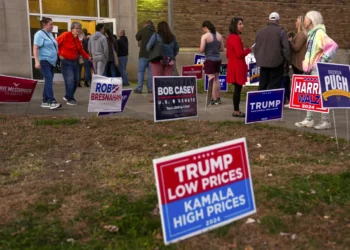 6 of 6 | FILE - Voters wait in line to cast their ballots at the Kingston Armory in Wilkes-Barre, Pa, Nov. 5, 2024. (AP Photo/Matt Rourke, File)