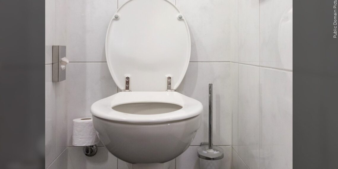 Doctors Warn Against Sitting on the Toilet for More Than 10 Minutes