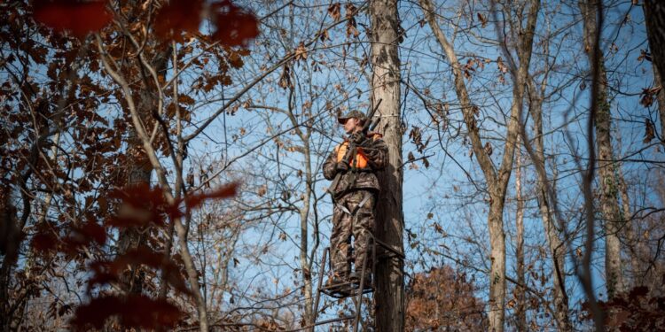 WVDNR reminds hunters about tree stand safety