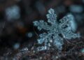 The Science of Snowflakes: Nature's Intricate Winter Art