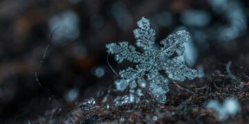 The Science of Snowflakes: Nature's Intricate Winter Art